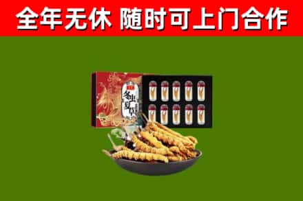 盐亭县回收冬虫夏草价格